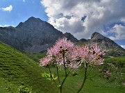 Baite di Mezzeno-Lago Branchino, festa di fiori-16giu23 - FOTOGALLERY